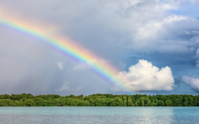 5 Ways to Stop Surviving and Start Thriving